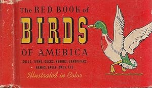 The Red Book Of Birds Of America Gulls, Terns, Herons, Sandpipers, Hawks, Eagle, Owls, Etc.