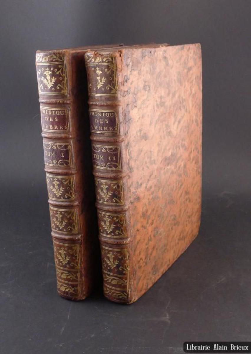 Cour Supreme Des Etats Unis Dissertation