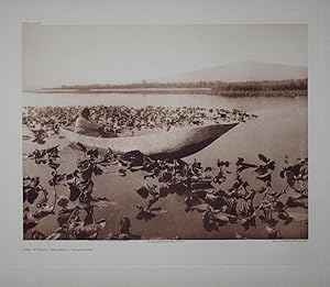 The Wokas Season - Klamath, Plate 462 from The North American Indian. Portfolio XIII