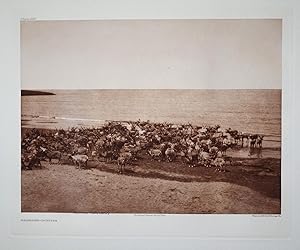 Reindeer - Nunivak, Plate 689 from The North American Indian. Portfolio XX