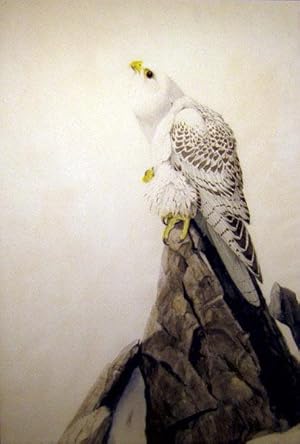 The Gray Falcon