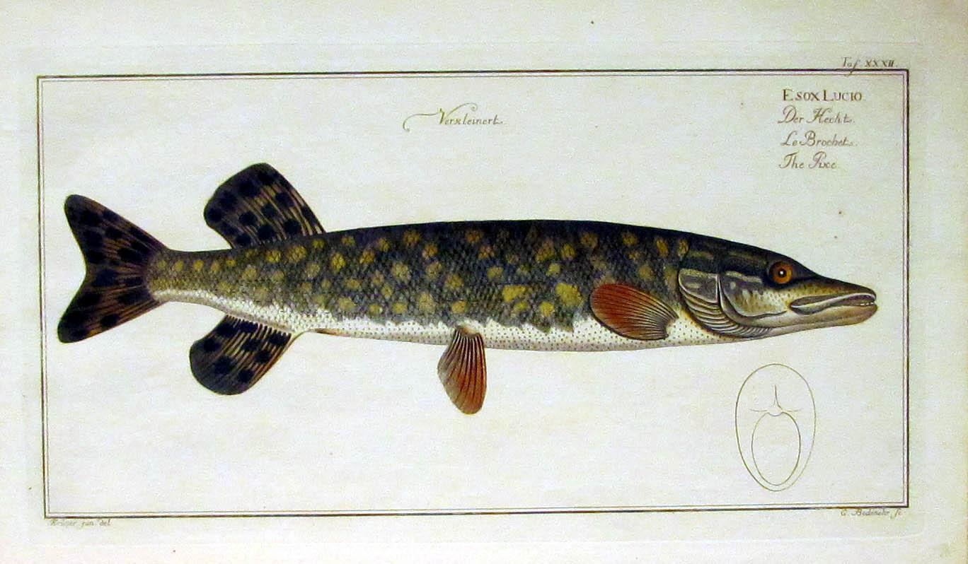 Vialibri ~ (769339).....rare books from 1827