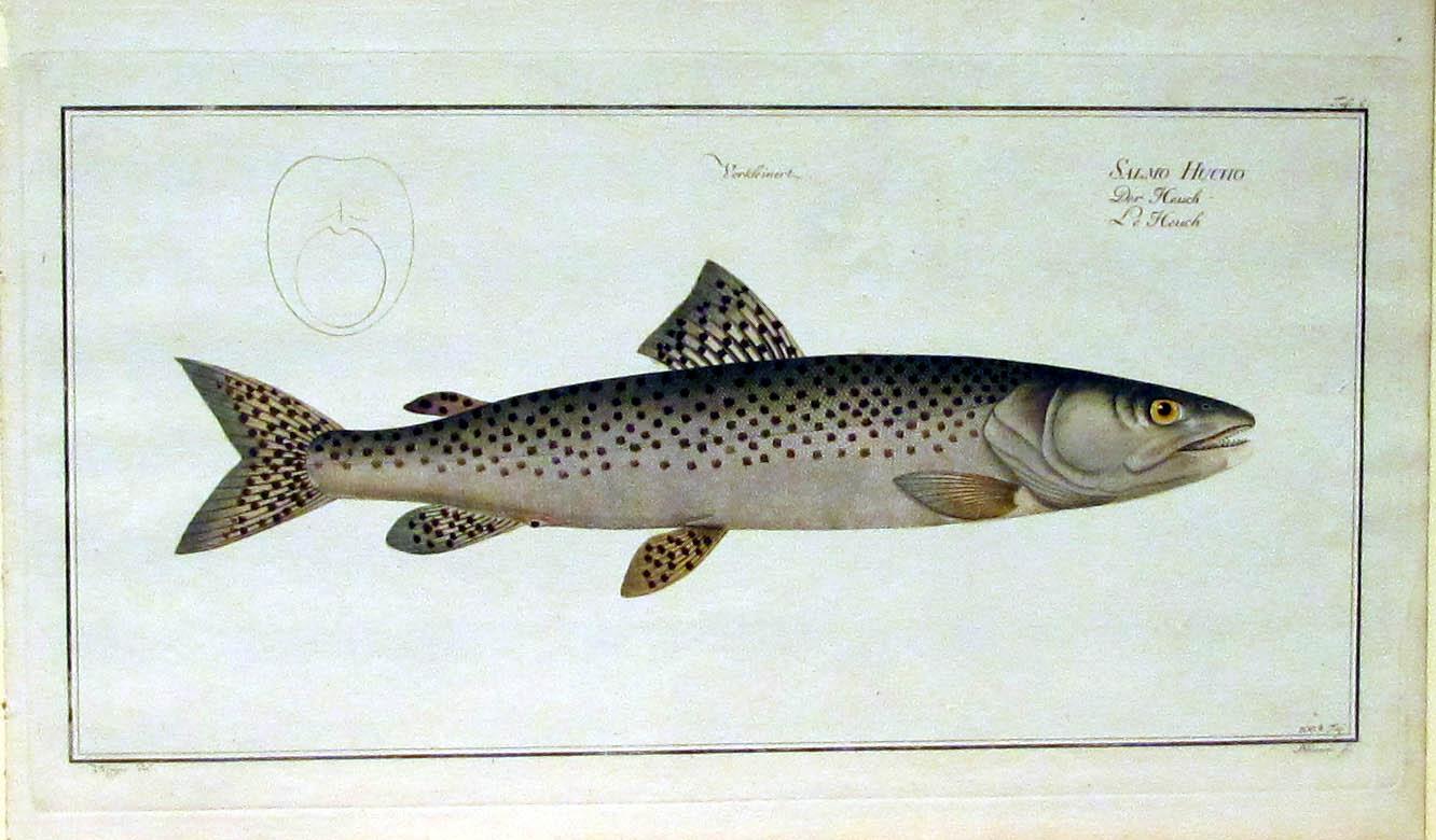 Vialibri ~ (769339).....rare books from 1827