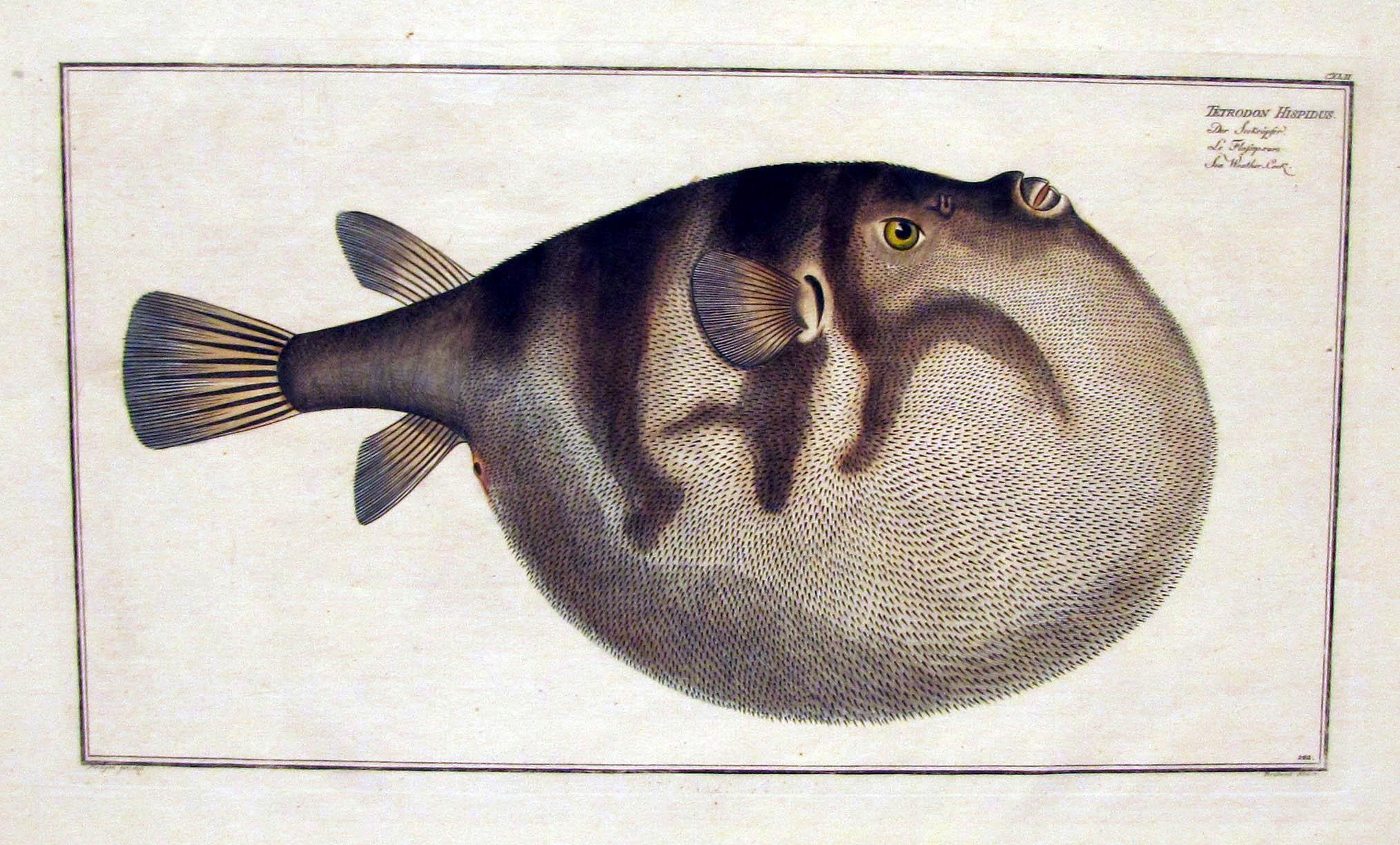 Vialibri ~ (769339).....rare books from 1827