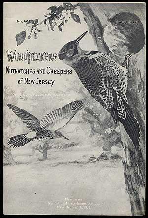 Woodpeckers: Nuthatches and Creepers of New Jersey