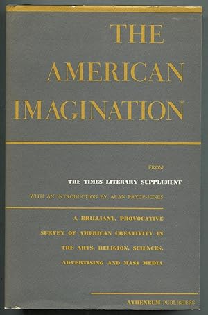 The American Imagination: A Critical Survey of the Arts from The Times Literary Supplement