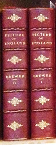 The Picture of England; or, Historical Delineations of the Most Curious Works of Nature and Art i...