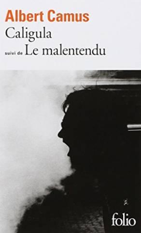 Albert camus le malentendu dissertation