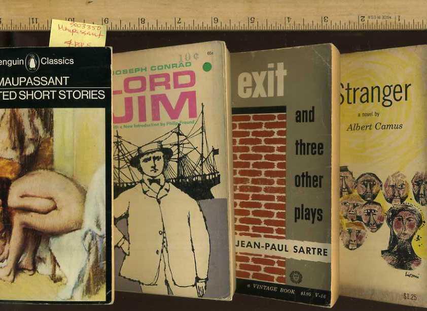 Albert Camus The Stranger Essay