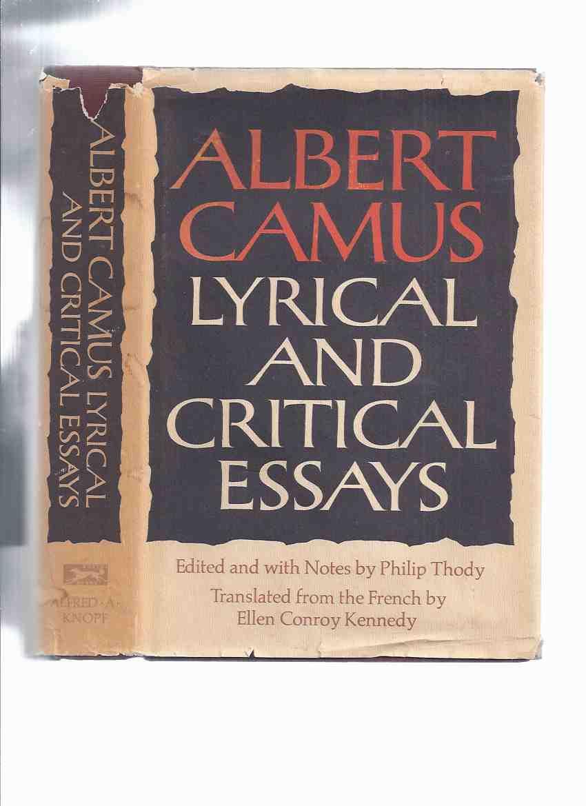 Critical Essay On The Stranger