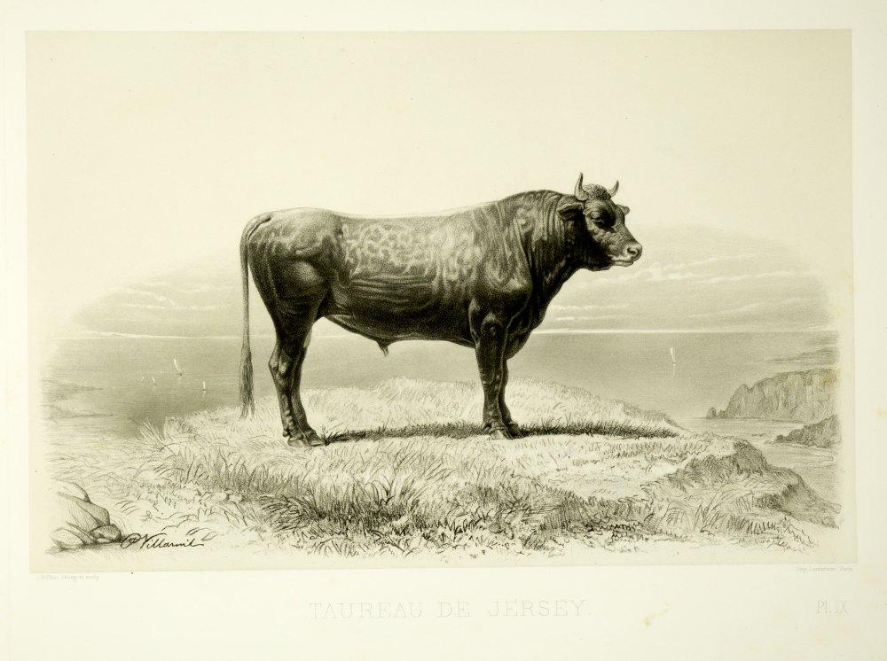182947110_5.jpg