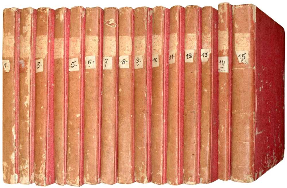 Culture Jeune Dissertation