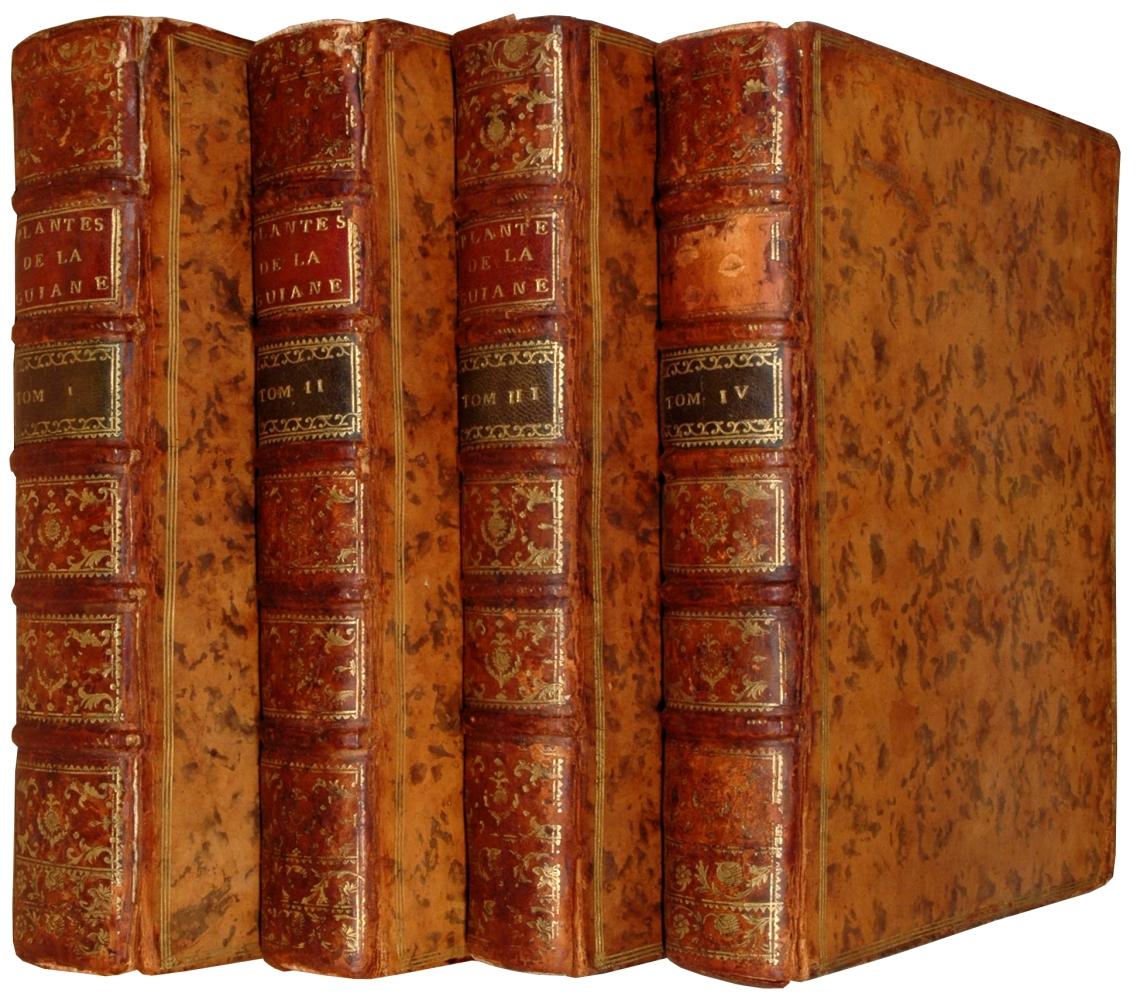 Dissertation Explicative Sur