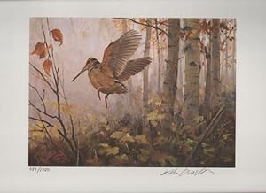 1985 Conservation Stamp Print No. 7: American Woodcock series print No. 1