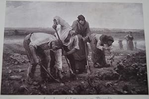 Télécharger ARRACHEURS DE BETTERAVES EN PICARDIE LAUGEE TABLEAU CARTE PHOTO GOUPIL N°89 Gratuit