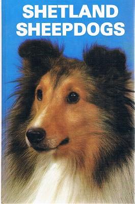 Shetland Sheepdogs