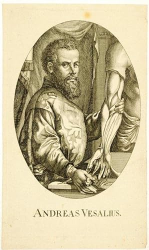 Portrait 1 D, XVIIIth Century. Anonymous. Line-engraving after the Woodcut.
