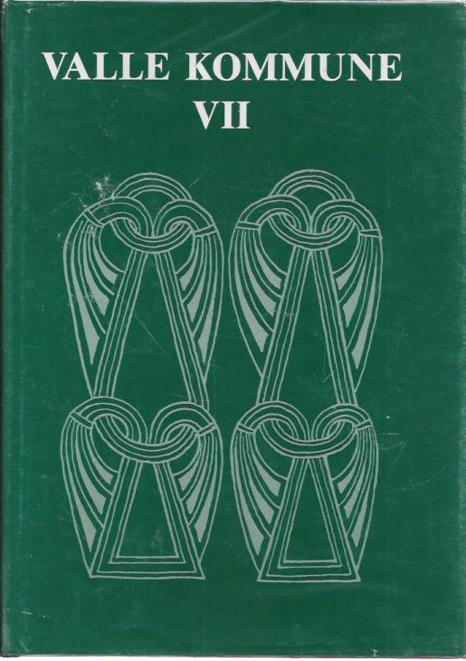 Image for Valle Kommune VII