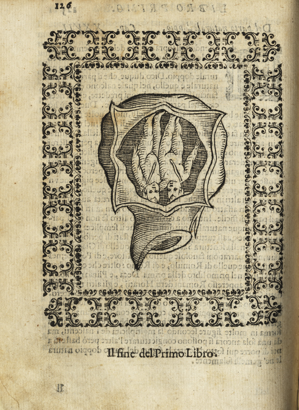 Vialibri ~ (1188064).....rare books from 1601
