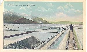 Salt Beds, near Salt Lake City, Utah