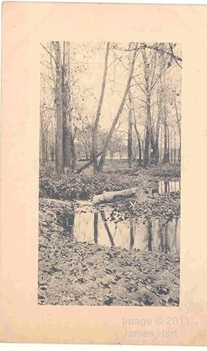 Leaves Falling in a Wooded Glade & Pond, 1910 - Vintage Postcard
