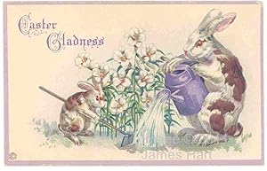 Vintage Postcard - Easter Gladness - Gardening Rabbits & Daisies