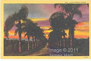 Vintage Postcard - A California Sunset