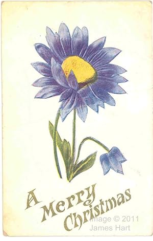Vintage Postcard - "A Merry Christmas" - Blue Daisies