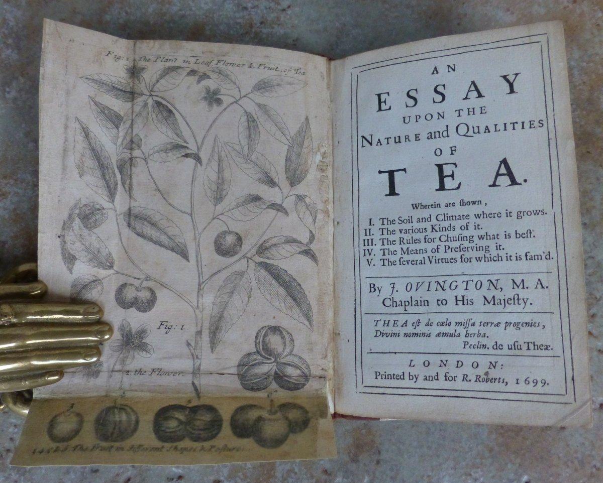 My favourite book essay