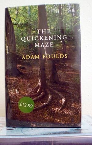 The Quickening Maze