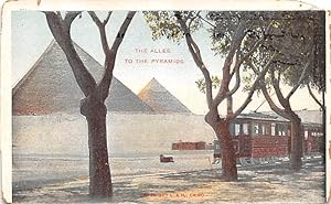 The Allee to the Pyramids