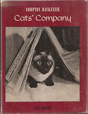 Cat's Company