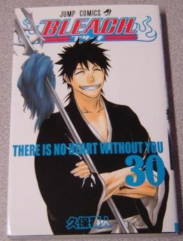 Bleach: There Is No Heart Without You #30
