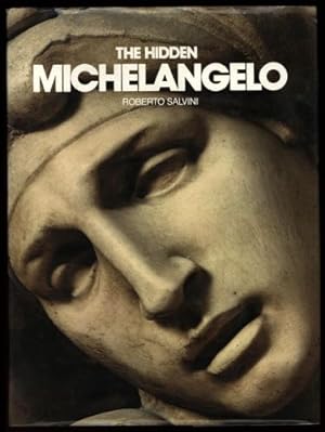 Hidden Michelangelo, The