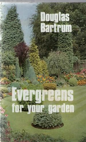 Evergreens for Your Garden