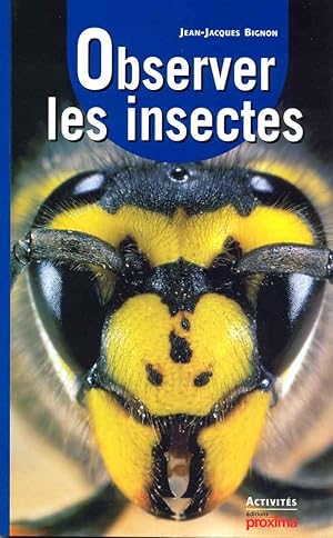 Observer les insectes