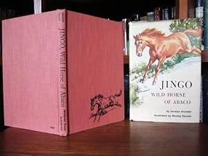 Jingo - Wild Horse of Abaco