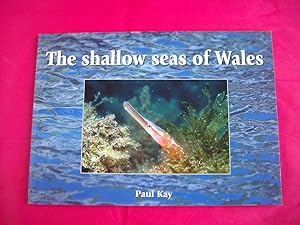 The Shallow Seas of Wales (SIGNED BY THE AUTHOR)