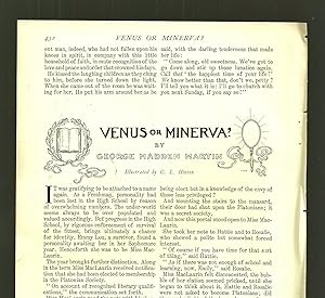 Venus Or Minerva