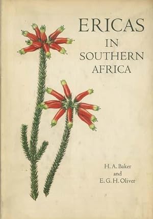 Ericas in Southern Africa