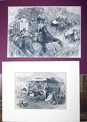 The Prince of Wales Tiger Shooting & Car Racing on the Bowery (2 wood engravings)