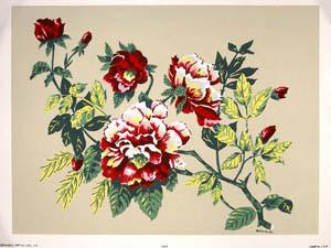 Color in Full Flower. (Hand-Made Prints) (1606-1607).