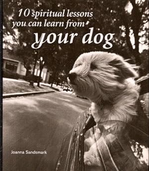 10 SPIRITUAL LESSONS YOU CAN LEARN FROM YOUR DOG