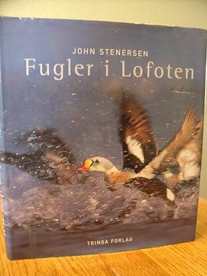 Fugler I Lofoten