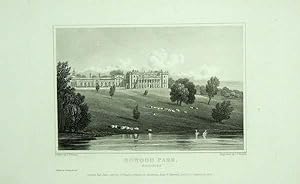 Original Antique Engraving Illustrating Bowood Park in Wiltshire, The Seat of Marquess of Lansdow...