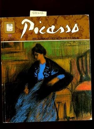 Picasso : Picasso Museum Barcelona : Photographic Report Complemented By a Biography of the Paint...