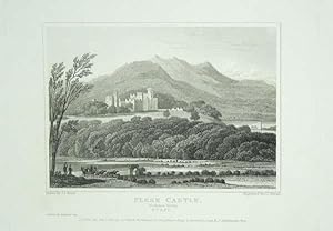 Original Antique Engraving Illustrating Flesk Castle (general view) in Kerry, The Seat of John Co...