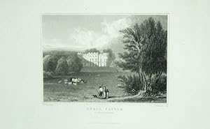 Original Antique Engraving Illustrating Gnoll Castle, Glamorganshire, The Seat of Henry Grant, Esq.