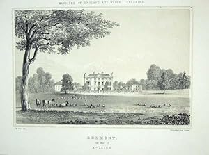 Fine Original Lithograph Illustration from the Mansions of England and Wales By Edward Twycross o...