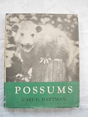 Possums